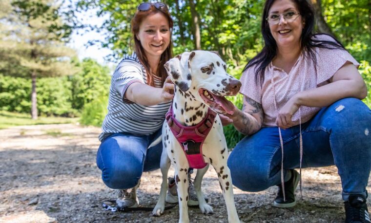 Twee vrouwen en hond kijken naar camera