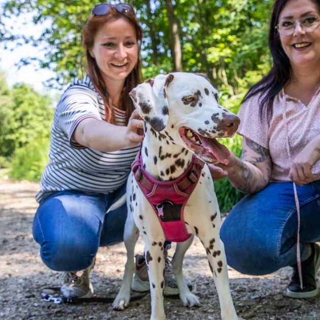 Twee vrouwen en hond kijken naar camera