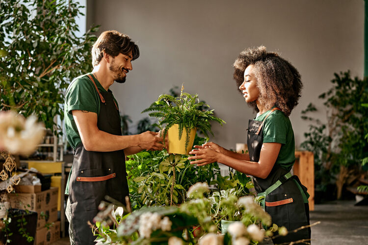 man-geeft-plant-aan-vrouw