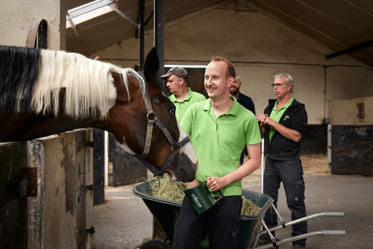 Een jonge man in groen shirt voert een paard