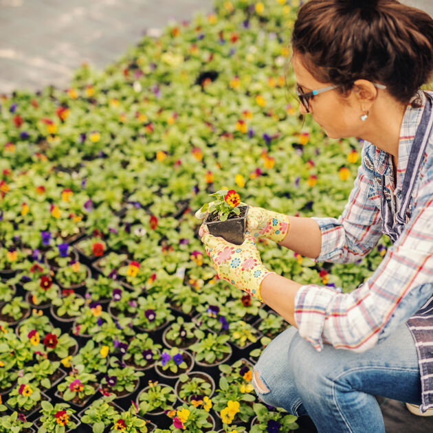 Vrouw die in een kas met bloemen kijkt naar een bloem
