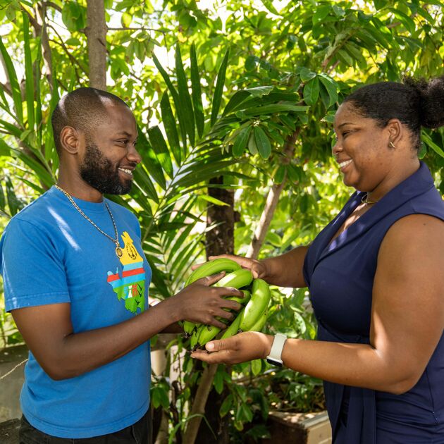 Landbouwer geeft bananen aan bedrijfsadviseur