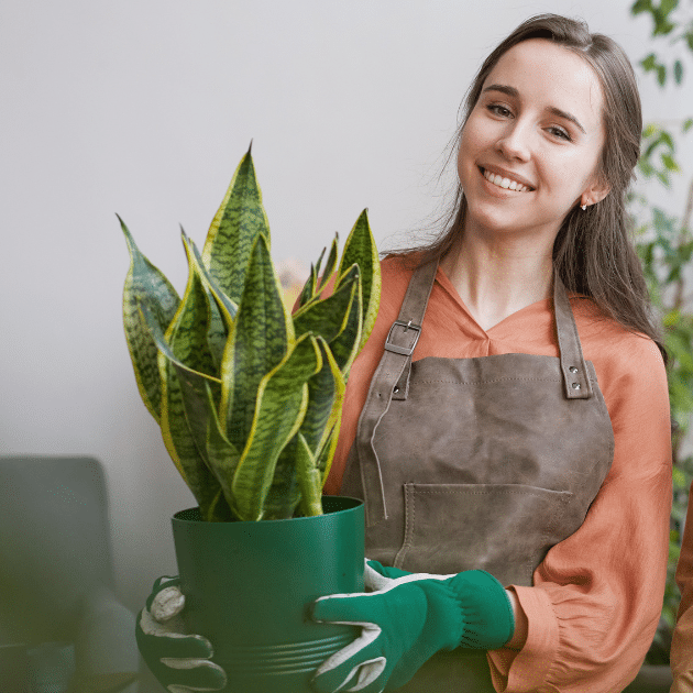 vrouw in werkkleding houdt een plant in een groene pot vast