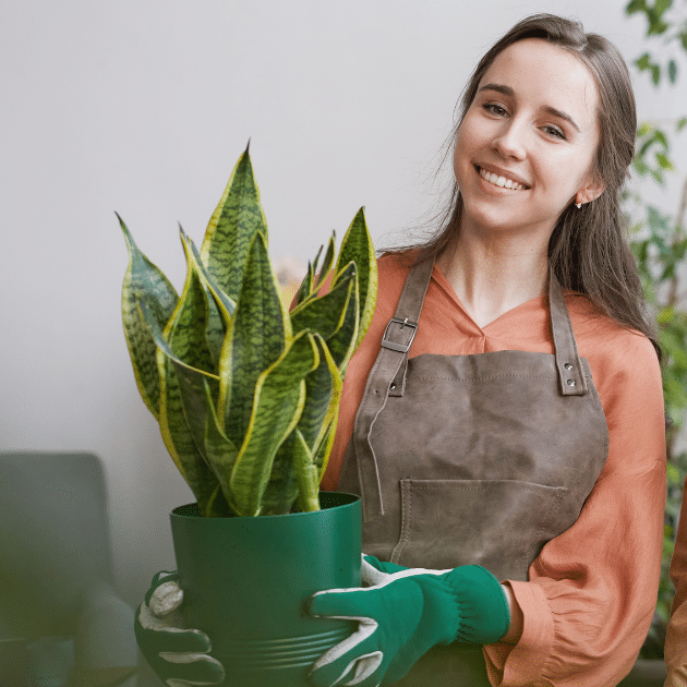 vrouw houdt een plant vast