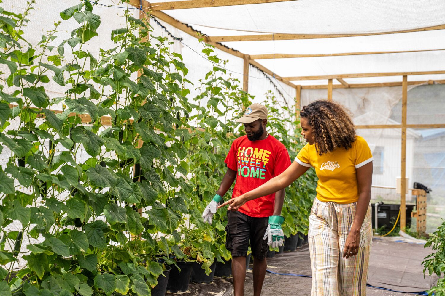 tuinders in kas met planten