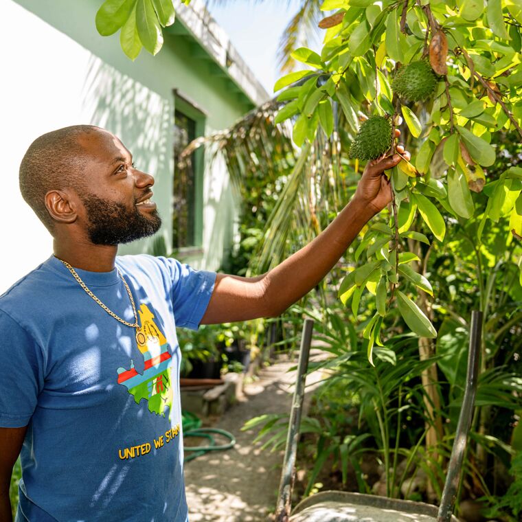 man kijkt naar fruit aan boom