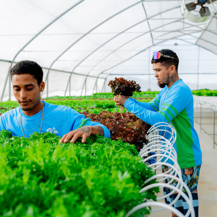 Twee mannen in blauwe werk shirts bekijken groente