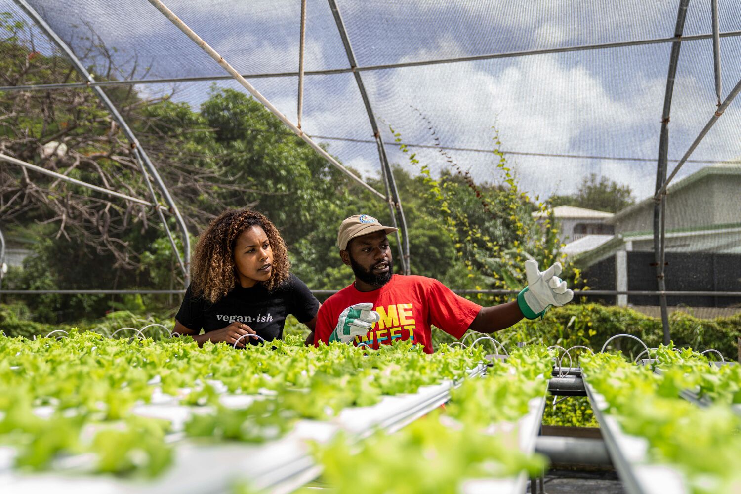tuinders-in-kas-met-planten