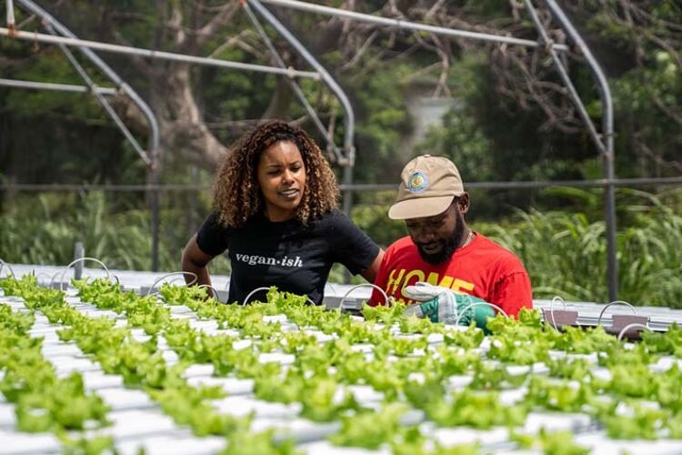 tuinders in kas met planten