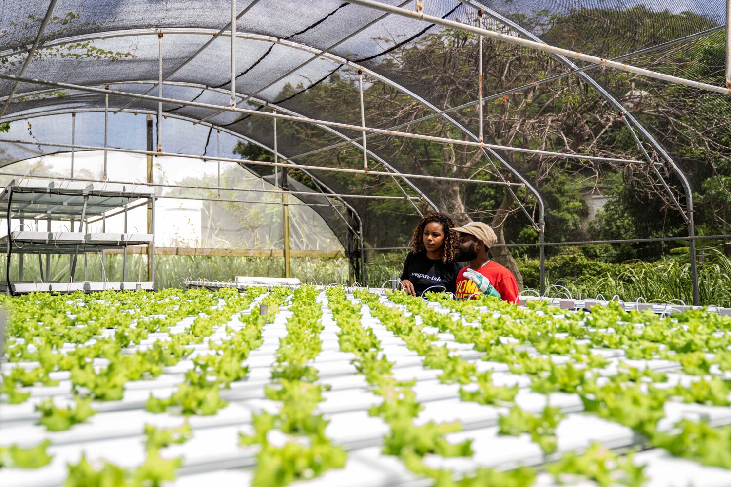 tuinders in kas met planten
