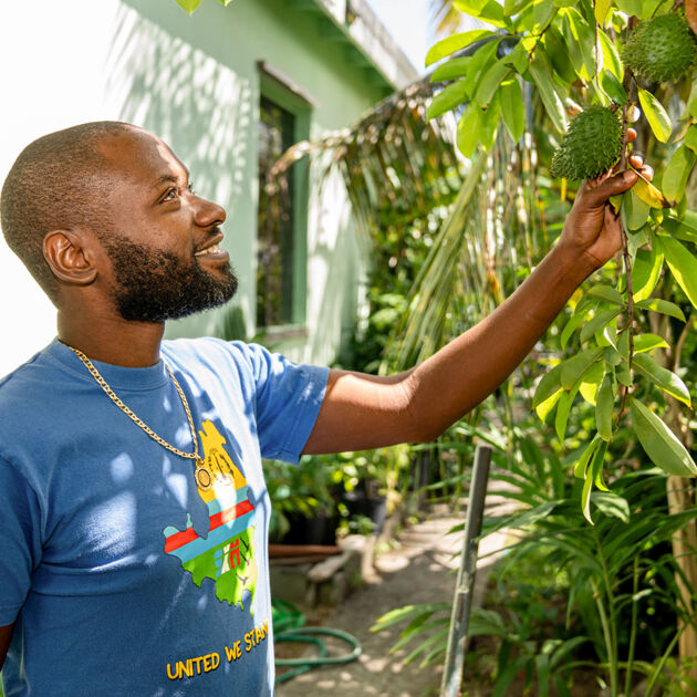 man kijkt naar fruit aan boom