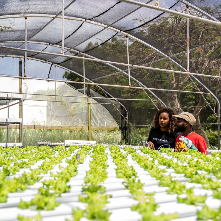 tuinders in kas met planten