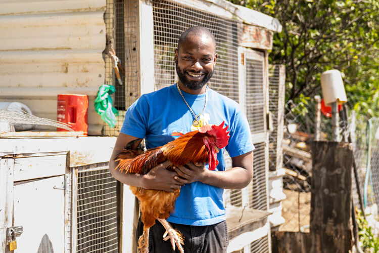 Man met haan lachend voor kippenren