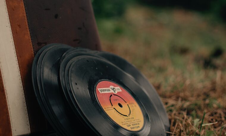 Muziek platen op het gras leunend tegen koffer