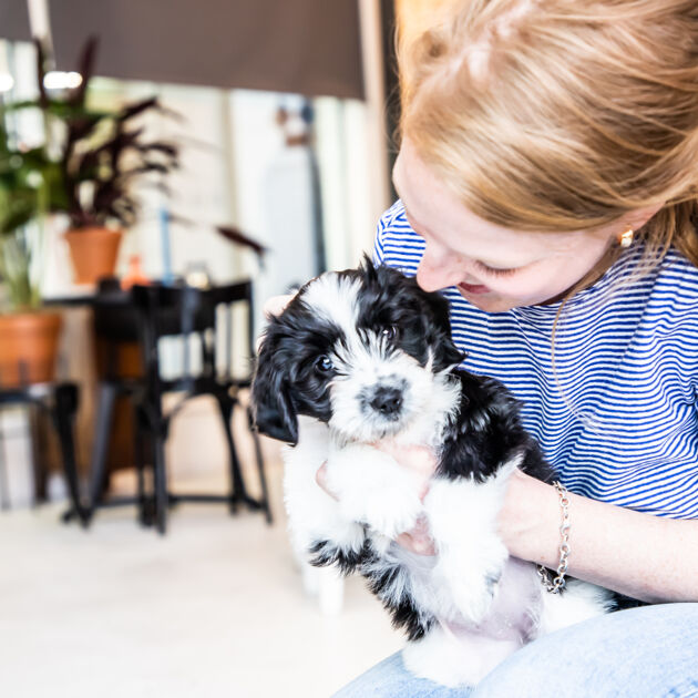 vrouw houdt hond vast