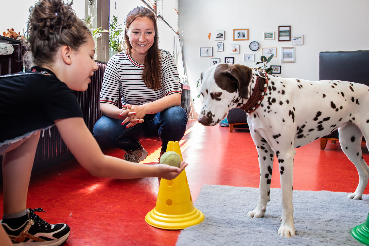 Meisje met bal speelt met hondje