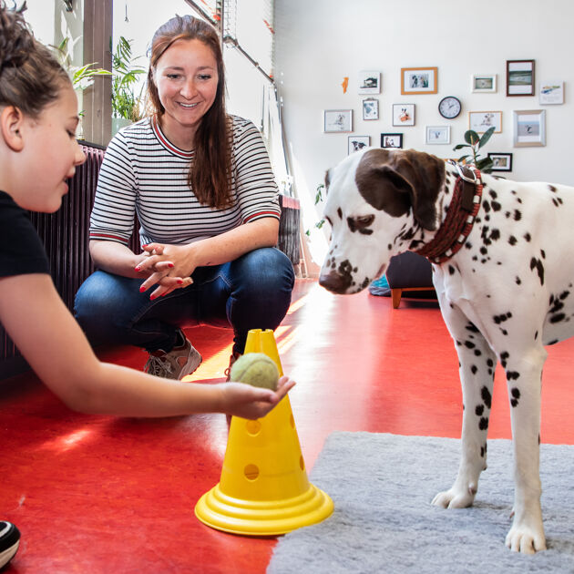 Meisje met bal speelt met hondje