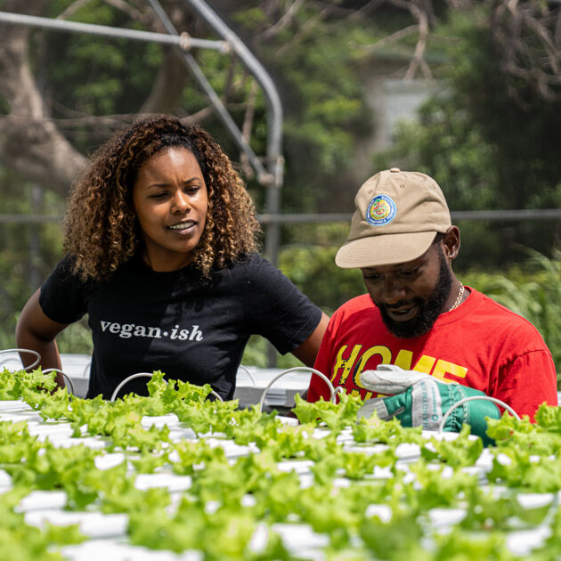 tuinders in kas met planten